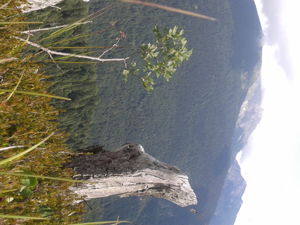 Foto 360